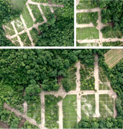 Captura de Pantalla 2022-12-03 a la(s) 19.36.43 Captura de Pantalla 2022-12-03 a la(s) 19.36.43