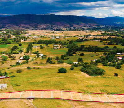 MONTE ALBAN LOTE MONTE ALBAN LOTE