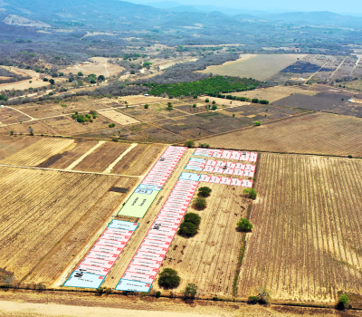 plano arboledas foto 2 plano arboledas foto 2